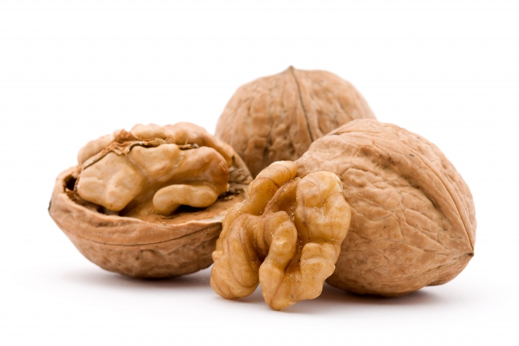 dry walnut fruit studio isolated closeup