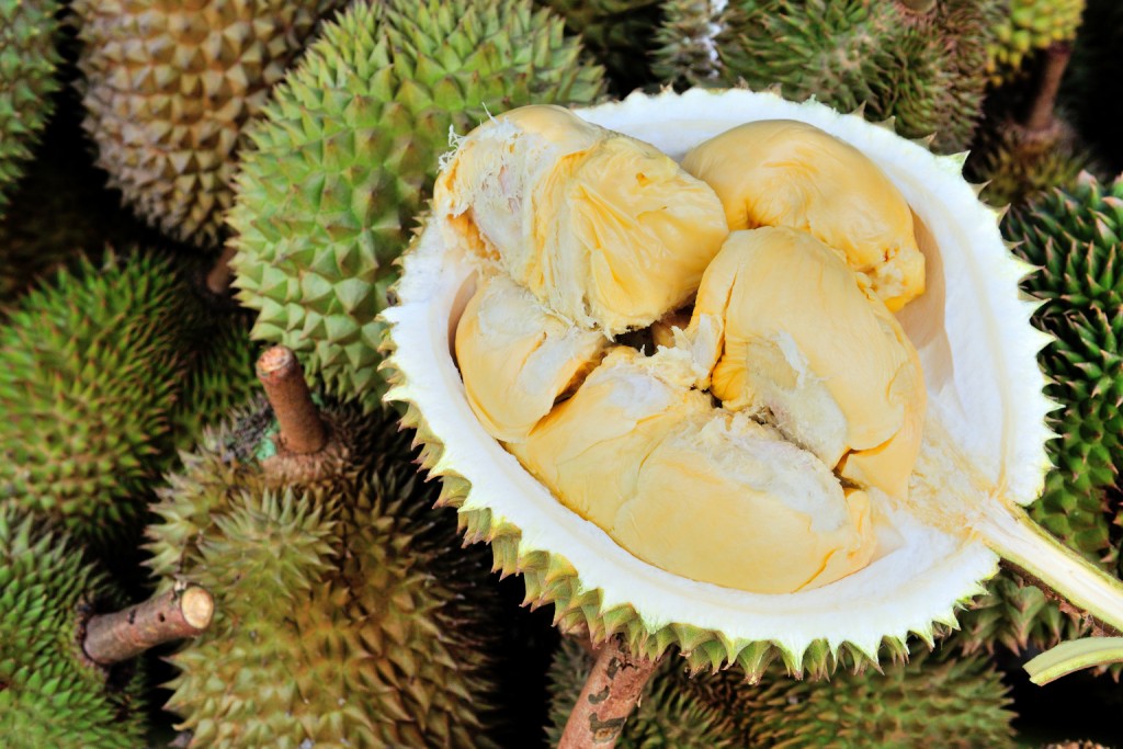 Durian Riau Sumatera