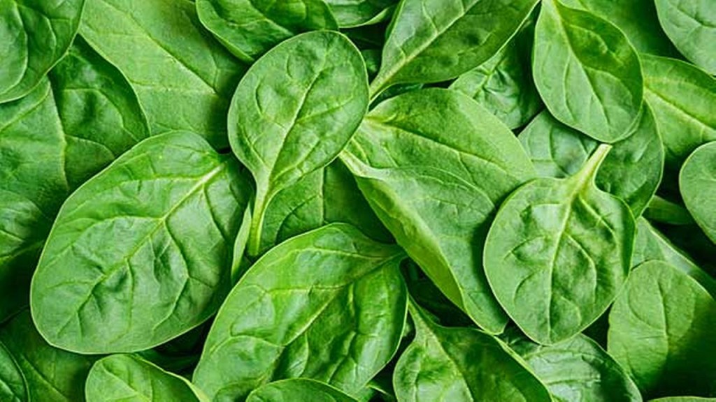 spinach