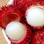 Top 10 Rarest And Tastiest Fruits In The World