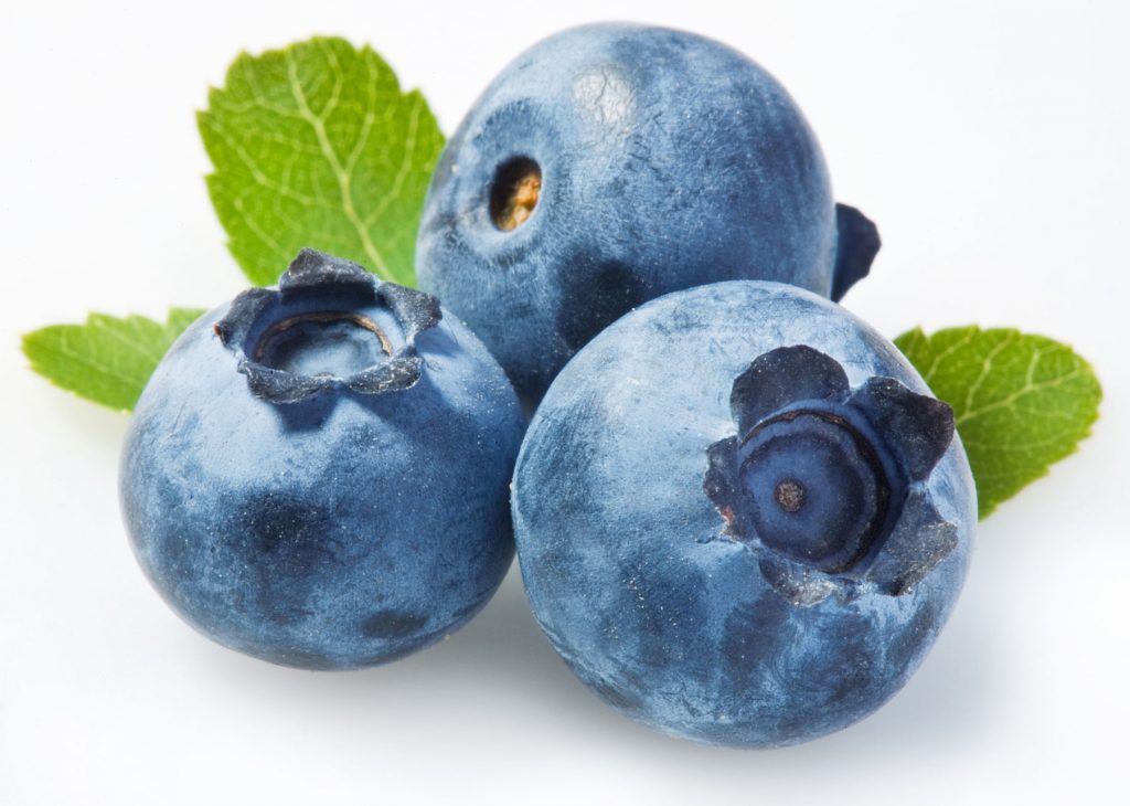 578836-blueberries