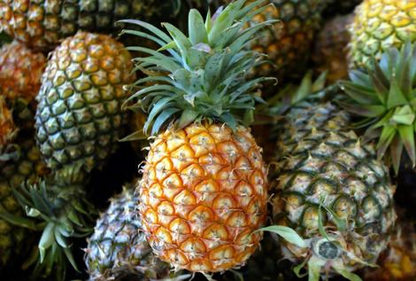 pineapples1