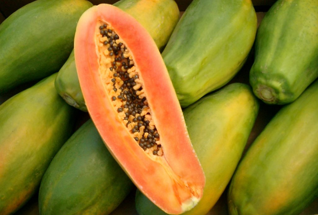 JacobiFruits_Papaya_Background