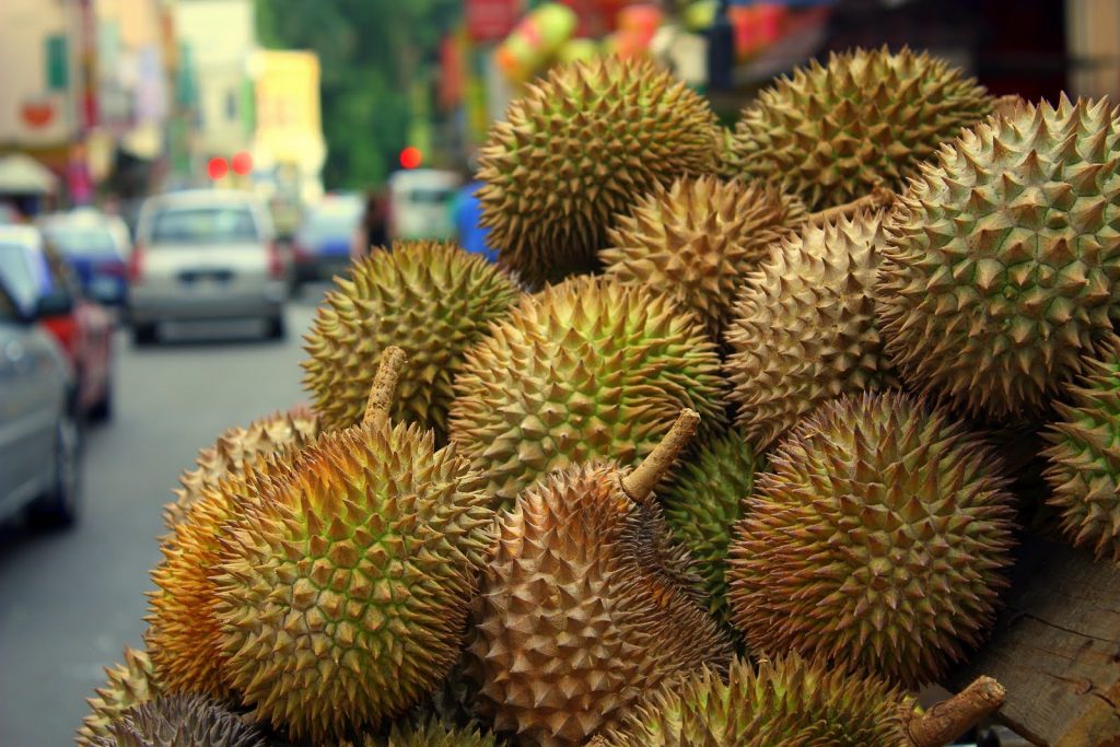 Durian.Fruit