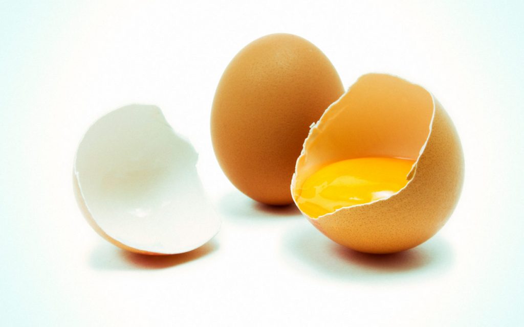 egg